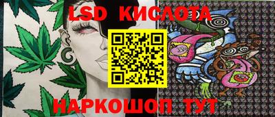 прущие грибы Анапа