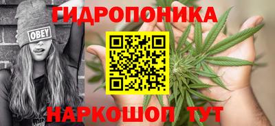 прущие грибы Анапа