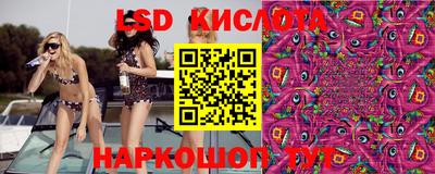 прущие грибы Анапа
