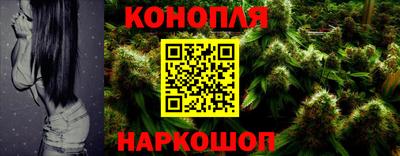прущие грибы Анапа