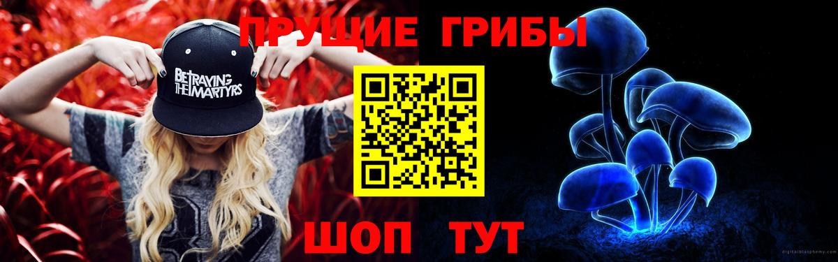 Ангарск  Псилоцибиновые грибы прущие грибы  дарнет шоп  Вход с VPN 