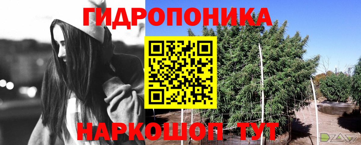 Каннабис Bruce Banner  Каннабис сатива  Вход с VPN  Ангарск 